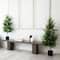 4ft. Unlit Norfolk Pine Artificial Potted Christmas Tree